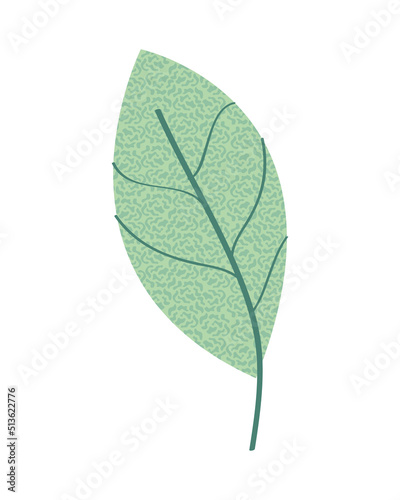 leaf texture icon
