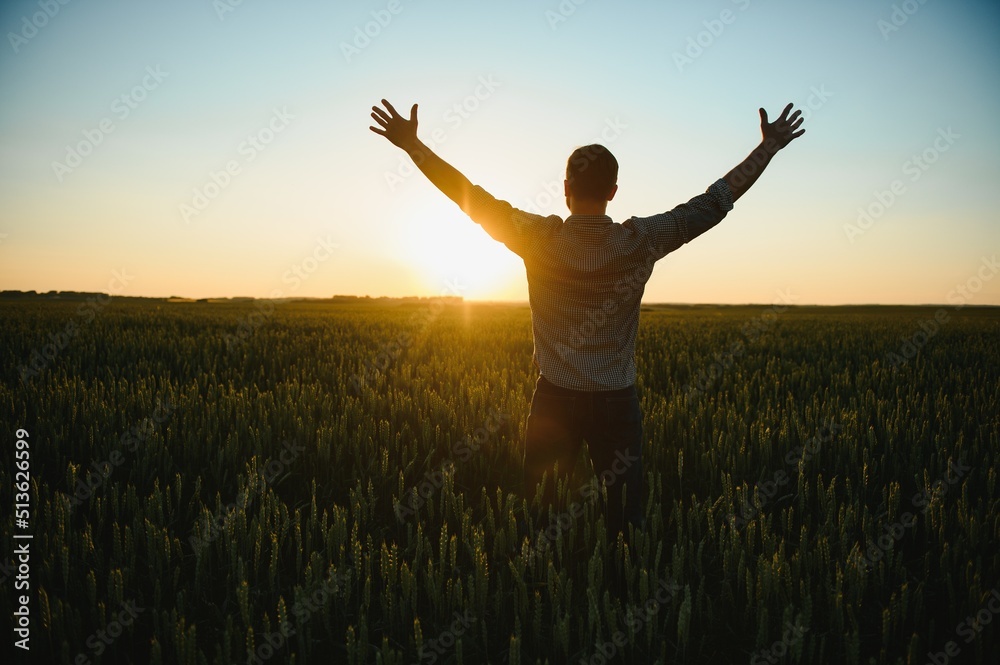 Back view of adult man farmer stand alone and look at sunset or sunrise in sky. Guy stand on wheat field. Ripe harvest time. Sun shines in sky