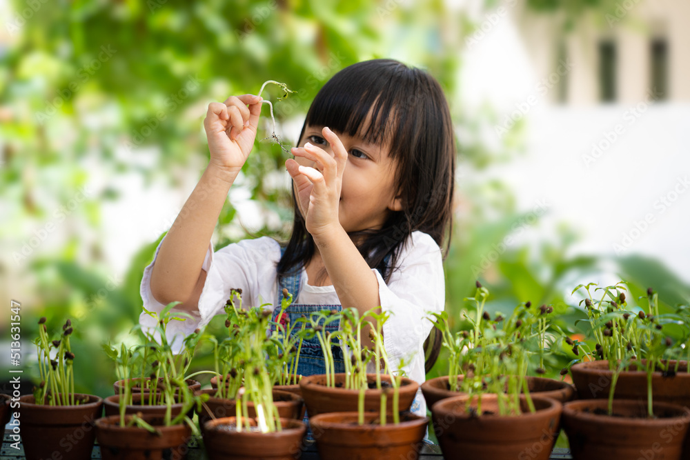 Blurred of asian little girl is holding the plant to learning about the part of tree in the garden, concept of activity for preschool kid and child education for the tree in nature, montessori school Blurred of asian little girl is holding the plant to learning about the part of tree in the garden, concept of activity for preschool kid and child education for the tree in nature, montessori school