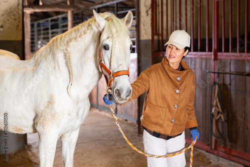 Portrait of successful asian woman horse breeder working in stable, leading white thoroughbred racehorse with reins.. © JackF