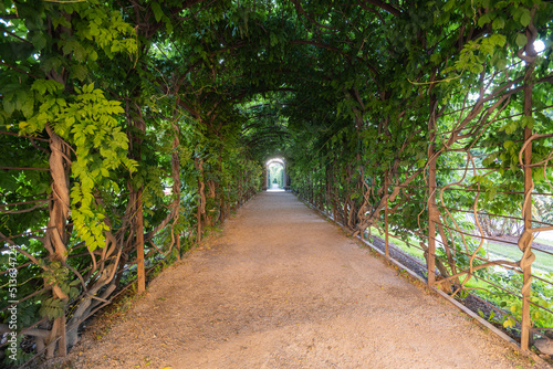 Path in the park - Schonbrunn Palace photo