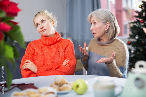 Mature woman scolds her adult daughter, who came to visit her before Christmas, pointing out her shortcomings photo