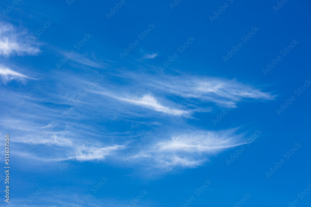 Closeup and background with white clouds and blue sky. Closeup and background with white clouds and blue sky.