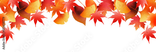紅葉　もみじ　秋　背景