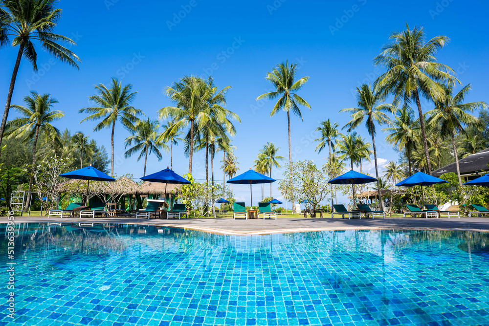 beautiful pool and coconut tree view