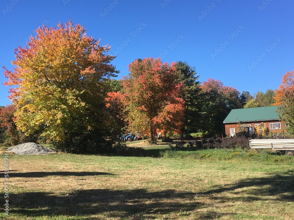 Naklejka premium Autumn