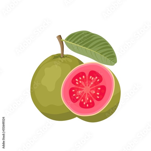 Vector illustration, Tropical fruit Guava, whole fruit and halved, isolated on white.