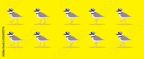 Animal Animation Sequence Bird Plover Walking Cartoon Vector