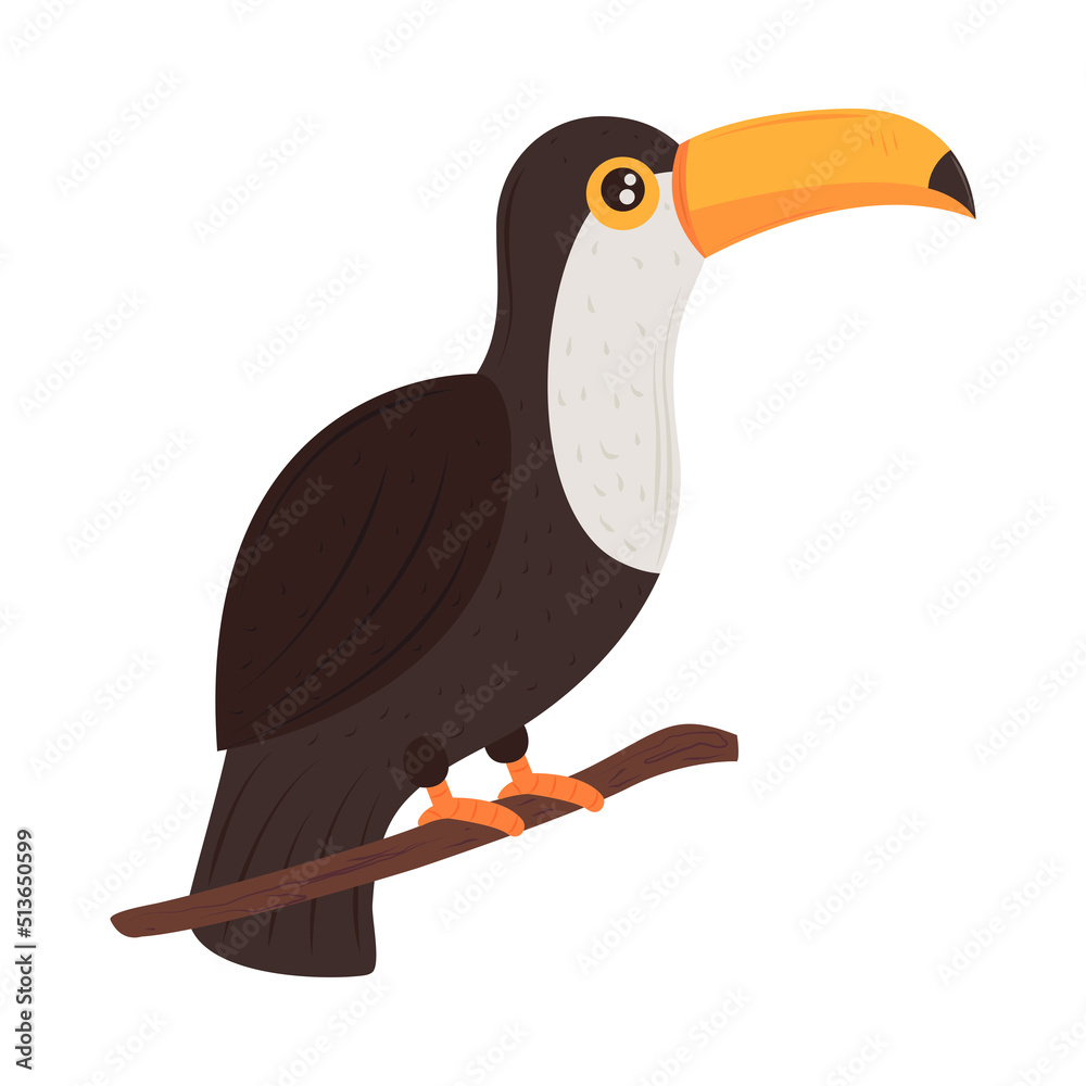 Fototapeta premium toucan on branch