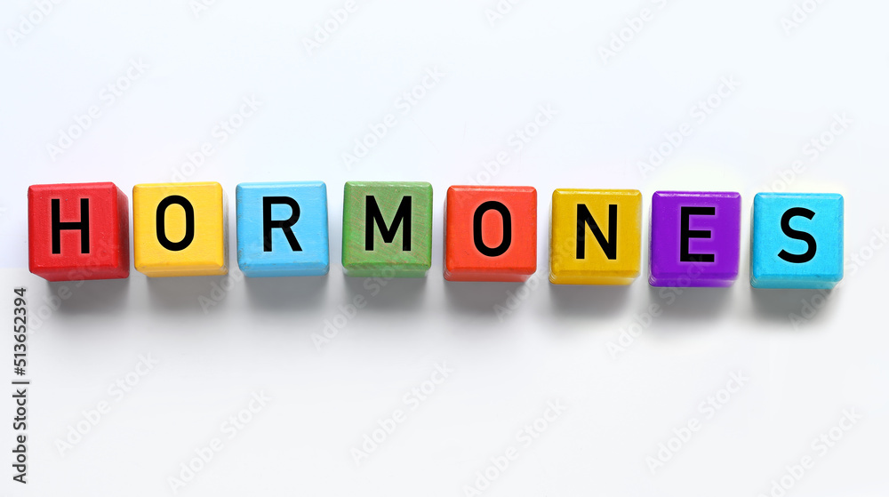 Word HORMONES made of cubes on white background Word HORMONES made of cubes on white background