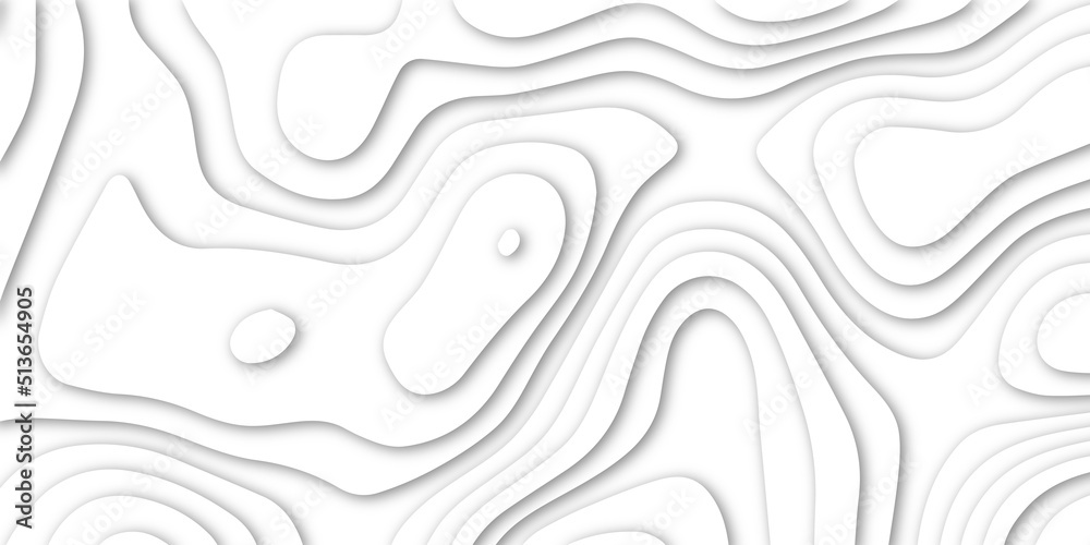3d white papercut topography relief. Cover layout template. Material design concept vector illustration. abstract curve line white background. Soft smooth lines curving white papercut.