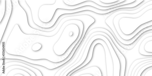 3d white papercut topography relief. Cover layout template. Material design concept vector illustration. abstract curve line white background. Soft smooth lines curving white papercut.