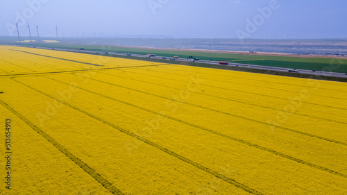  aerial view of rapeseed flower blooming in farmland