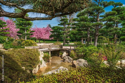  Idyllic landscape of Japanese garden. Traditional japanese stone garden for meditation