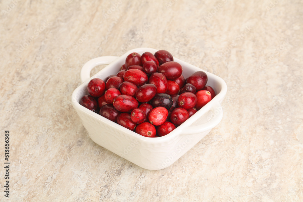Ripe sweet tasty cranberry in the bowl Ripe sweet tasty cranberry in the bowl