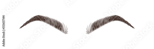 Realistic eyebrows on white background. Permanent make-up and microblading. Brow studio logo. Linear vector Illustration in trendy minimalist style.