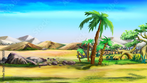 African desert landscape with palm tree