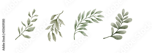 Greenery Leaves Watercolor Hand Drawn. Set of green leaf in watercolor style isolated on white background. Decorative beauty elegant illustration collection for design