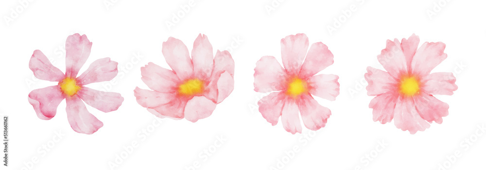 Cosmos Flowers Watercolor set. Collection of beautiful pink blossom flowers in watercolor style. Spring Floral design vector illustration