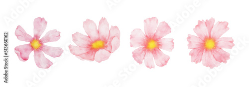 Cosmos Flowers Watercolor set. Collection of beautiful pink blossom flowers in watercolor style. Spring Floral design vector illustration