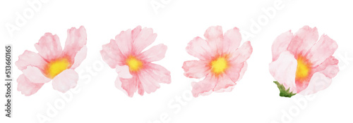 Cosmos Flowers Watercolor set. Collection of beautiful pink blossom flowers in watercolor style. Spring Floral design vector illustration