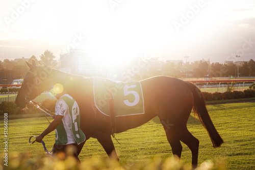 Man leading a racehorse along at race track photo