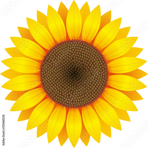 Fototapeta Naklejka Na Ścianę i Meble -  Sunflower clipart design illustration