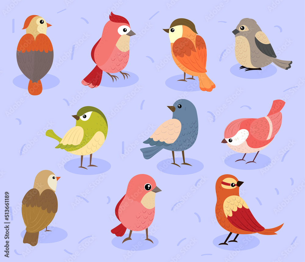 icons collection birds icons collection birds