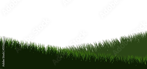 Grass. Nature rural landscape. Pasture overgrown. Overgrown dense lawn. Hilly meadow. Isolated on white background. Vector