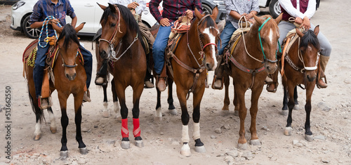 Five Mexican Charros riding horses. Traditional cowboys from Mexico standing in a row