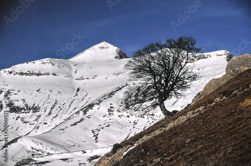 Pico Ori(2021m.). Valle de Salazar.Pirineos Atlanticos. Navarra. España. photo