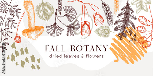 Autumn banner with fallen leaves and dried flowers. Collage style Thanksgiving background. Hand drawn botanical border template. Sketched dried herbs, fall leaves, mushrooms, and fruit illustration.