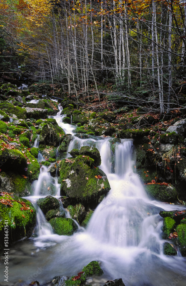La Capradiza.Valle de Añisclo.Parque Nacional Ordesa y Monte Perdido..Cordillera Pirenaica. Huesca. España. La Capradiza.Valle de Añisclo.Parque Nacional Ordesa y Monte Perdido..Cordillera Pirenaica. Huesca. España.