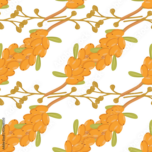pattern of sea buckthorn branches autumn element yellow berries