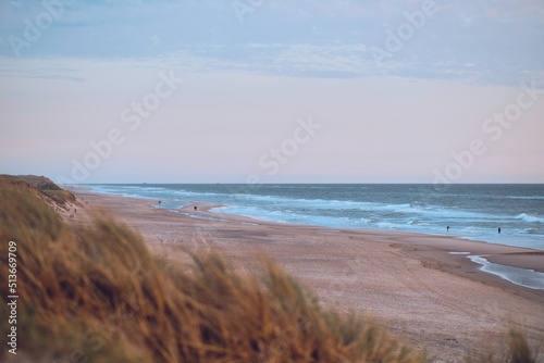 wide dunes and sand beach at the danish north sea coast. High quality photo
