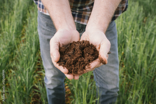 Farmer holding soil in a cereal crop in the Wheatbelt of Western Australia