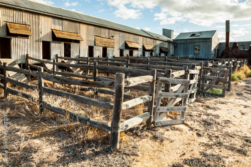 Weathered timber stock yards at the side of an Australian shearing shed