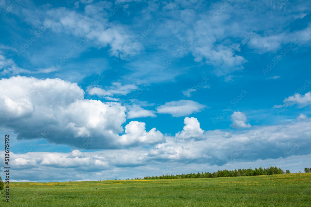 Summer green field with blue sky. Photo on the topic summer, nature. Summer green field with blue sky. Photo on the topic summer, nature.