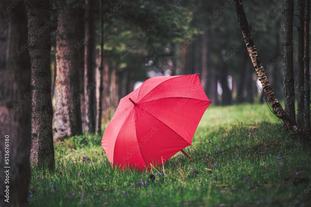 Green forest and red umbrella under the rain