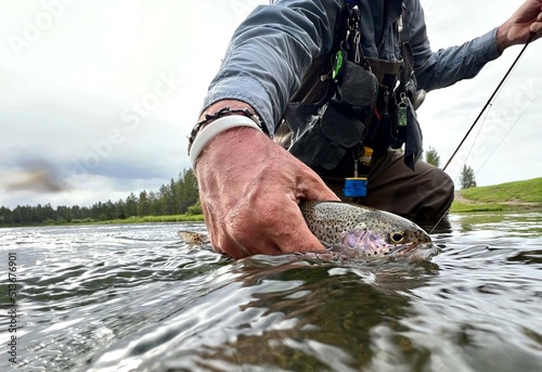 Fotografía catch of a beautiful rainbow trout by a fly fisherman in Montana