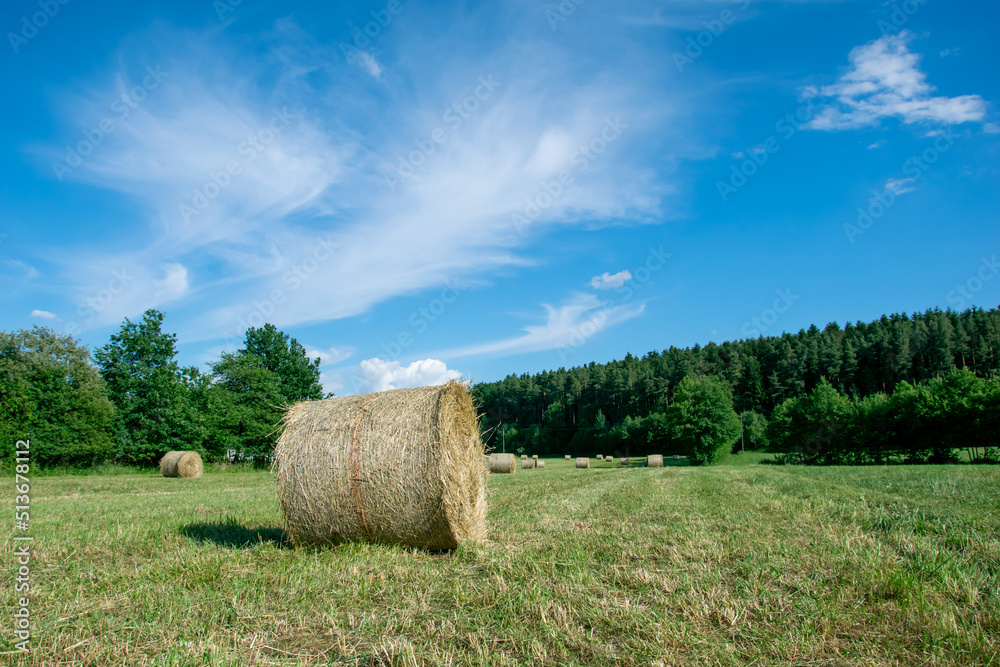 hay bale on the meadow