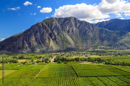 Fruit Orchard Keremeos Similkameen Valley British Columbia Landscape