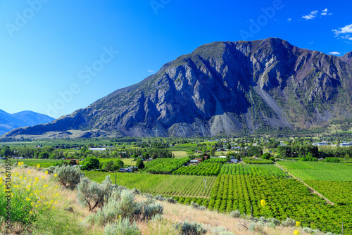 Fruit Orchard Keremeos Similkameen Valley British Columbia Landscape photo