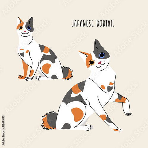 фотографія Japanese bobtail cat vector set isolated on beige background