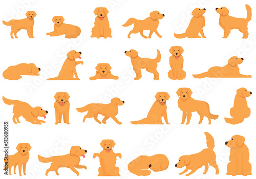 Fototapeta Naklejka Na Ścianę i Meble -  Golden retriever icons set cartoon vector. Dog labrador. Sit pose