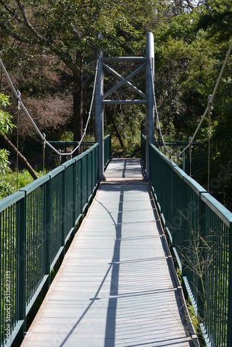 suspension bridge in the woods