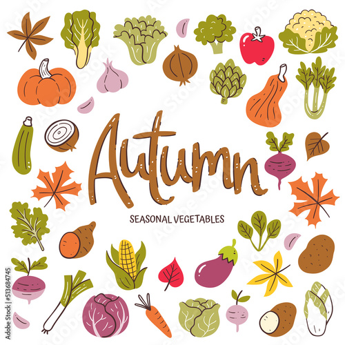 Seasonal vegetables background. Autumn vegetable composition made of colorful hand-drawn vector icons, isolated on white background.