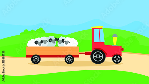 Tractor carries sheep in a trailer