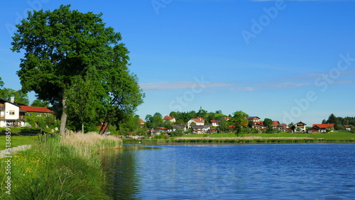 Blick vom Weg entlang Bad Soier See auf Bayersoien mit Ufer, Baum und Dorf unter blauem Himmel