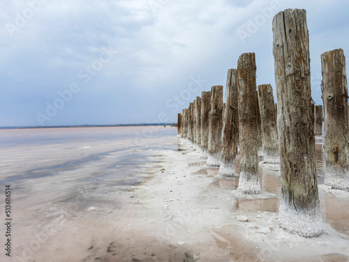 Wooden poles covered with natural salt in Kuyalnik Estuary. Beautiful landscape. Medical and health resort of Ukraine. Pink saltwater. Old salt production